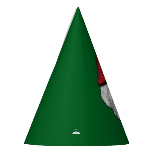 クリスマス格言顔 パーティーハット (左)