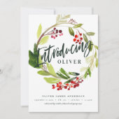 クリスマス植物紹介誕生発表 シーズンカード (正面)