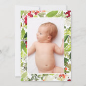 クリスマス植物紹介誕生発表 シーズンカード (裏面)