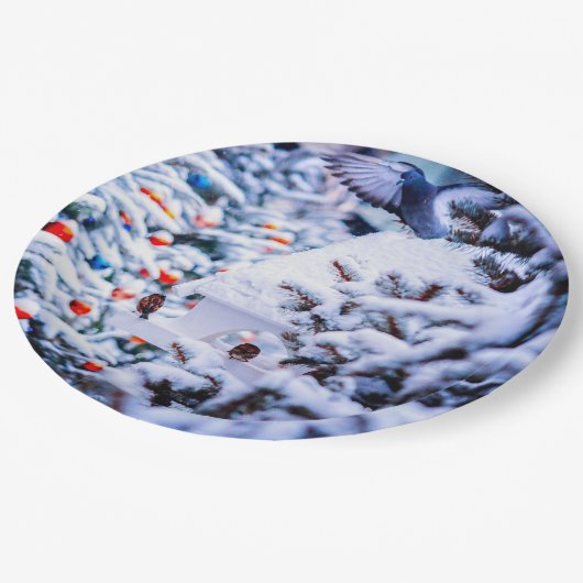 クリスマス気分の魅力 ペーパープレート (アングル)