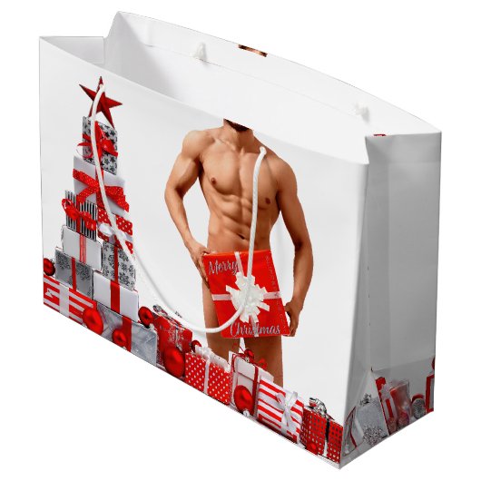 クリスマス滑りやすいジョーゲイプライドギフトLGBTQIAラップ ラージペーパーバッグ (裏面アングル)