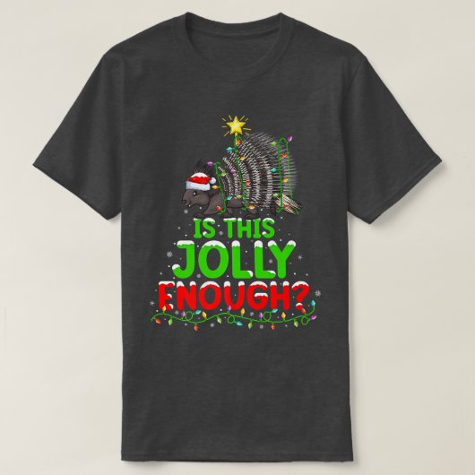 クリスマス照明はすてきこれでいい山嵐クリス Tシャツ (デザイン正面)
