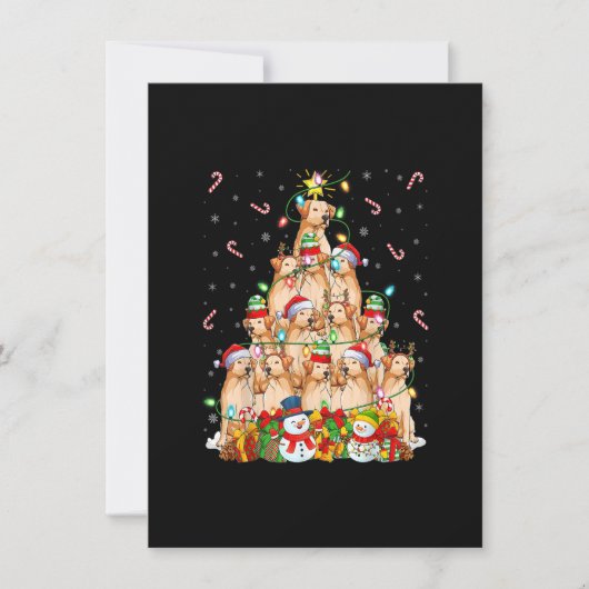 クリスマス照明サンタゴールデンレトリエバードッグクリスマス 招待状 (正面)