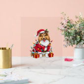 クリスマス照明サンタシェットランド・ シープドッグドッグクリスマス_1 アクリルサイン (ウェディング)