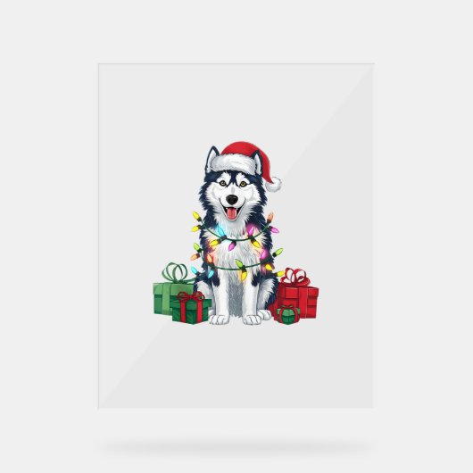 クリスマス照明サンタハットアラスカンハスキードッグクリスマ アクリルサイン (正面)