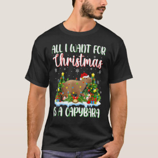 クリスマス照明サンタ私はクリスマスのために欲しいすべてはA Tシャツ