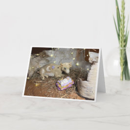 クリスマス牛 カード