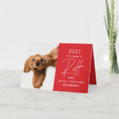 クリスマス犬おもしろい1年を振り返る カード (正面)