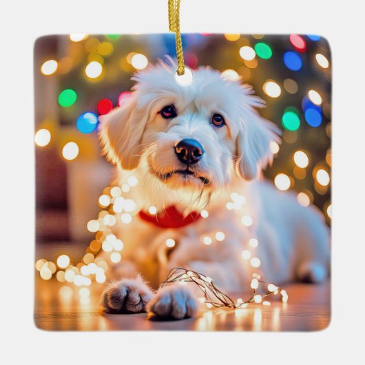 クリスマス犬が光に絡まった セラミックオーナメント (正面)