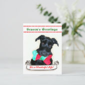 クリスマス犬それはすばらしい生命です シーズンポストカード (スタンド正面)