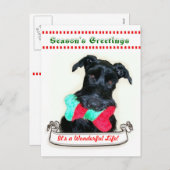クリスマス犬それはすばらしい生命です シーズンポストカード (正面/裏面)