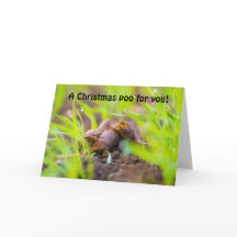 クリスマス犬のフン