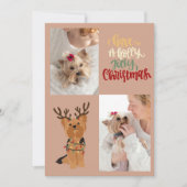 クリスマス犬のホリーすてきカードを持っている シーズンカード (正面)