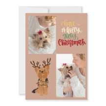 クリスマス犬のホリーすてきカードを持っている