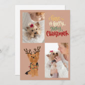 クリスマス犬のホリーすてきカードを持っている シーズンカード (正面/裏面)