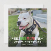 クリスマス犬のママへ 愛犬の写真から作ったカード シーズンカード (正面)