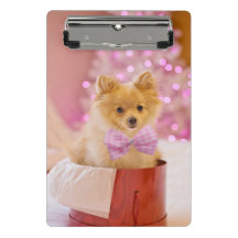 クリスマス犬の子犬のプレゼントあり