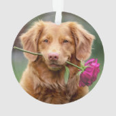 クリスマス犬ペット写真 オーナメント (裏面)