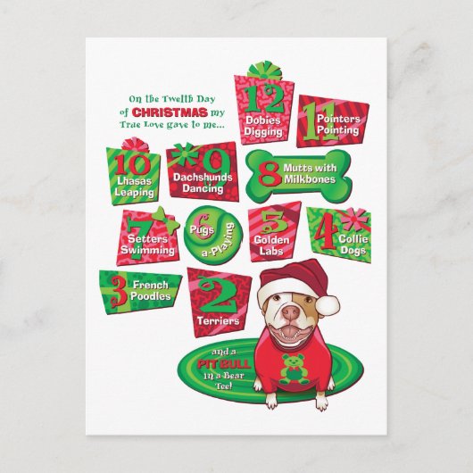 クリスマス犬12 シーズンポストカード (正面)