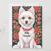 クリスマス犬 シーズンカード (正面)