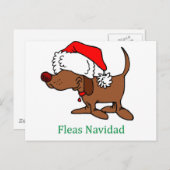 クリスマス犬 シーズンポストカード (正面/裏面)
