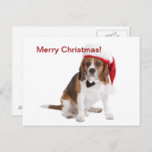 クリスマス犬 シーズンポストカード (正面/裏面)