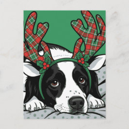 クリスマス犬 シーズンポストカード