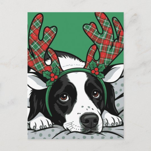 クリスマス犬 シーズンポストカード (正面)