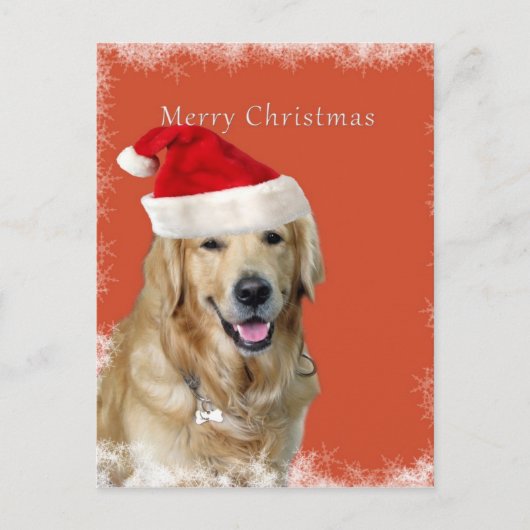 クリスマス犬 シーズンポストカード (正面)