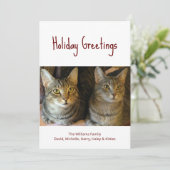 クリスマス猫かわいいフェスティバルレッドタイポグラフィ シーズンカード (スタンド正面)