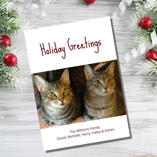 クリスマス猫かわいいフェスティバルレッドタイポグラフィ シーズンカード