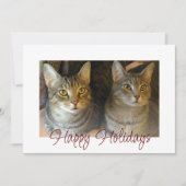 クリスマス猫かわいいフェスティバル赤スクリプト シーズンカード (正面)