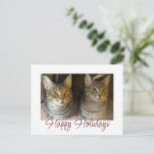 クリスマス猫かわいいペット赤スクリプトタイポグラフィー シーズンポストカード (スタンド正面)