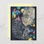 クリスマス猫ちゃんはがき シーズンポストカード (正面/裏面)