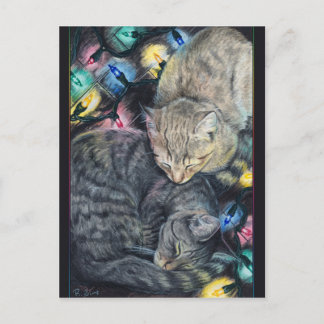 クリスマス猫ちゃんはがき シーズンポストカード