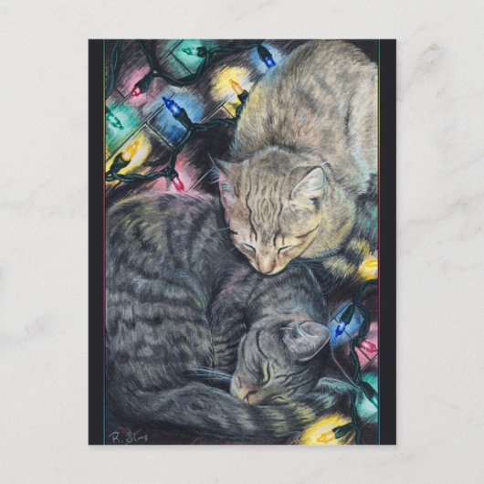 クリスマス猫ちゃんはがき シーズンポストカード (正面)