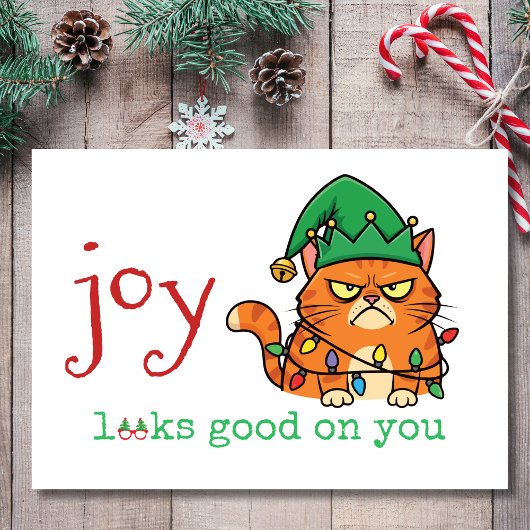 クリスマス猫に喜びが湧いてくる シーズンカード