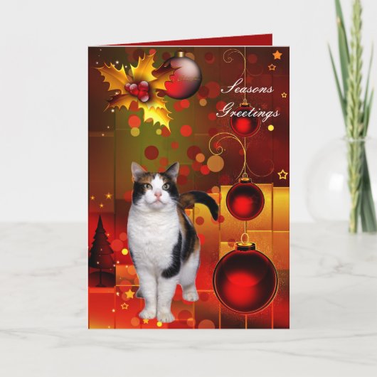 クリスマス猫のカード シーズンカード (正面)