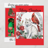クリスマス猫のフラットホリデーカード シーズンカード (正面/裏面)
