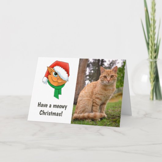 クリスマス猫の写真 シーズンカード (正面)
