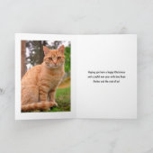 クリスマス猫の写真 シーズンカード (内部)