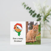 クリスマス猫の写真 シーズンポストカード (スタンド正面)