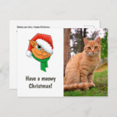 クリスマス猫の写真 シーズンポストカード (正面/裏面)