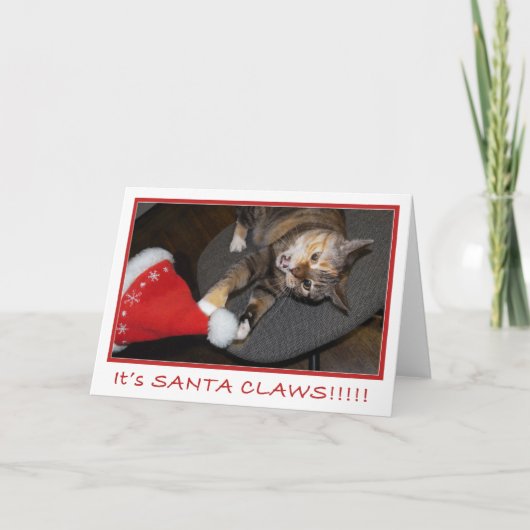 クリスマス猫の攻撃II シーズンカード (正面)