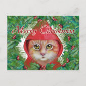 クリスマス猫はがき シーズンポストカード (正面)