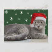 クリスマス猫はがき シーズンポストカード (正面)
