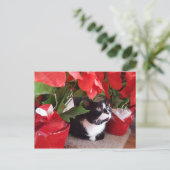 クリスマス猫はがき ポストカード (スタンド正面)