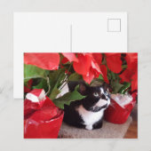 クリスマス猫はがき ポストカード (正面/裏面)