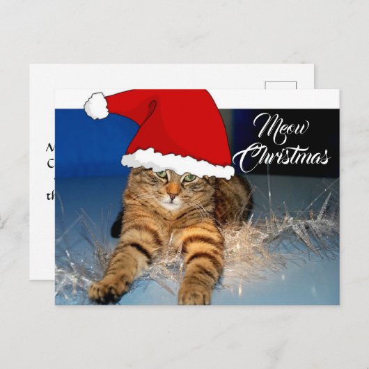 クリスマス猫はがき（祝日の挨拶つき） ポストカード (正面/裏面)