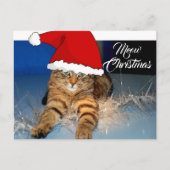 クリスマス猫はがき（祝日の挨拶つき） ポストカード (正面)